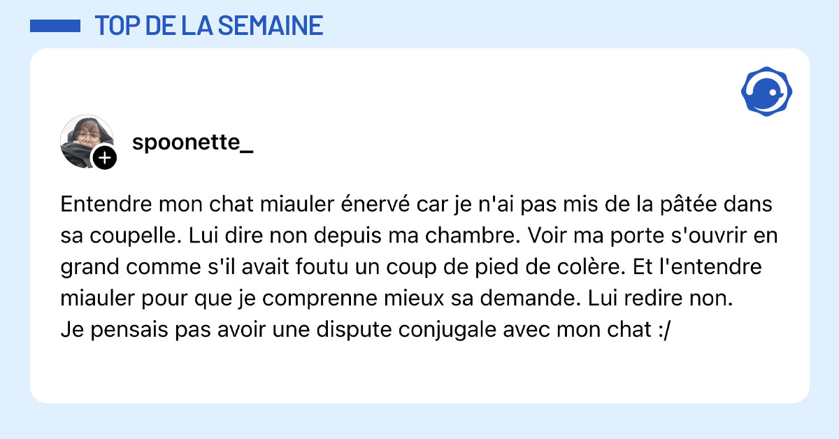 Post de @spoonette_ : "Entendre mon chat miauler énervé car je n'ai pas mis de la pâtée dans sa coupelle. Lui dire non depuis ma chambre. Voir ma porte s'ouvrir en grand comme s'il avait foutu un coup de pied de colère. Et l'entendre miauler pour que je comprenne mieux sa demande. Lui redire non. Je pensais pas avoir une dispute conjugale avec mon chat :/ "