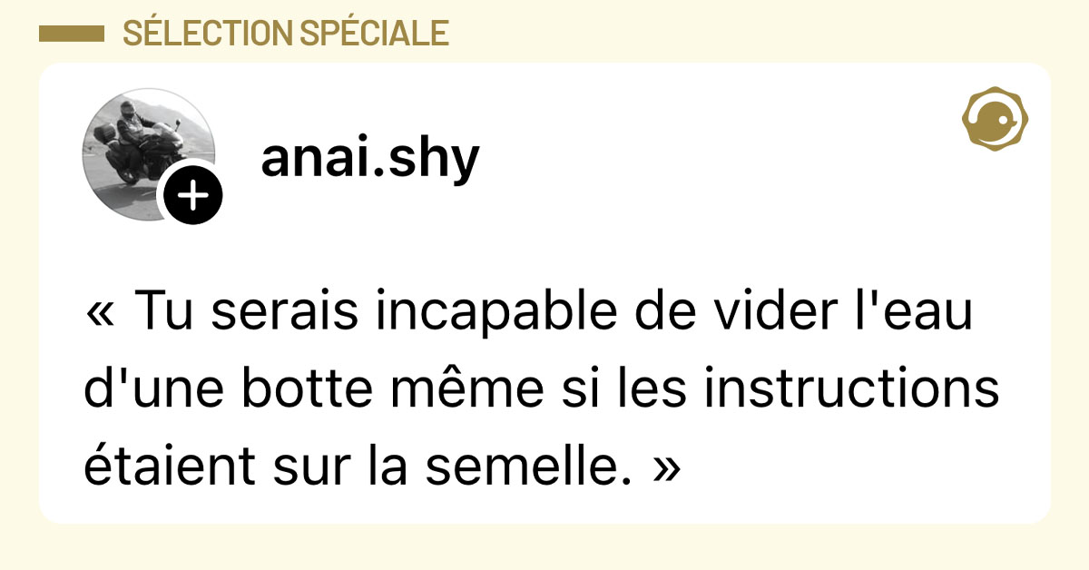 Post de @anai.shy : "« Tu serais incapable de vider l'eau d'une botte même si les instructions étaient sur la semelle. »"