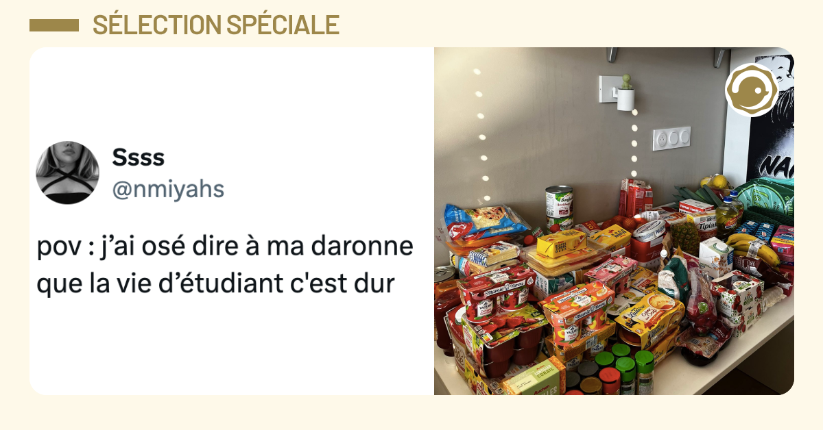 Post vignette de @nmiyahs disant "pov : j&rsquo;ai os&eacute; dire &agrave; ma daronne que la vie d&rsquo;&eacute;tudiant c harr"