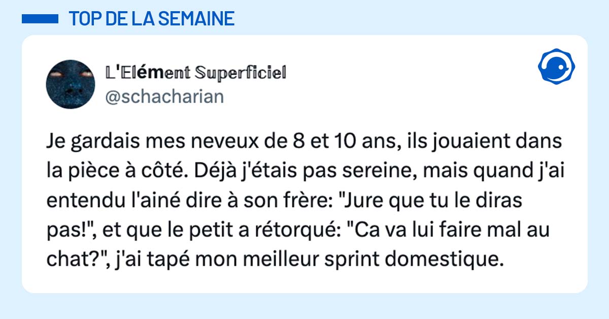 post de @schacharian Je gardais mes neveux de 8 et 10 ans, ils jouaient dans la pièce à côté. Déjà j'étais pas sereine, mais quand j'ai entendu l'ainé dire à son frère: "Jure que tu le diras pas!", et que le petit a rétorqué: "Ca va lui faire mal au chat?", j'ai tapé mon meilleur sprint domestique.