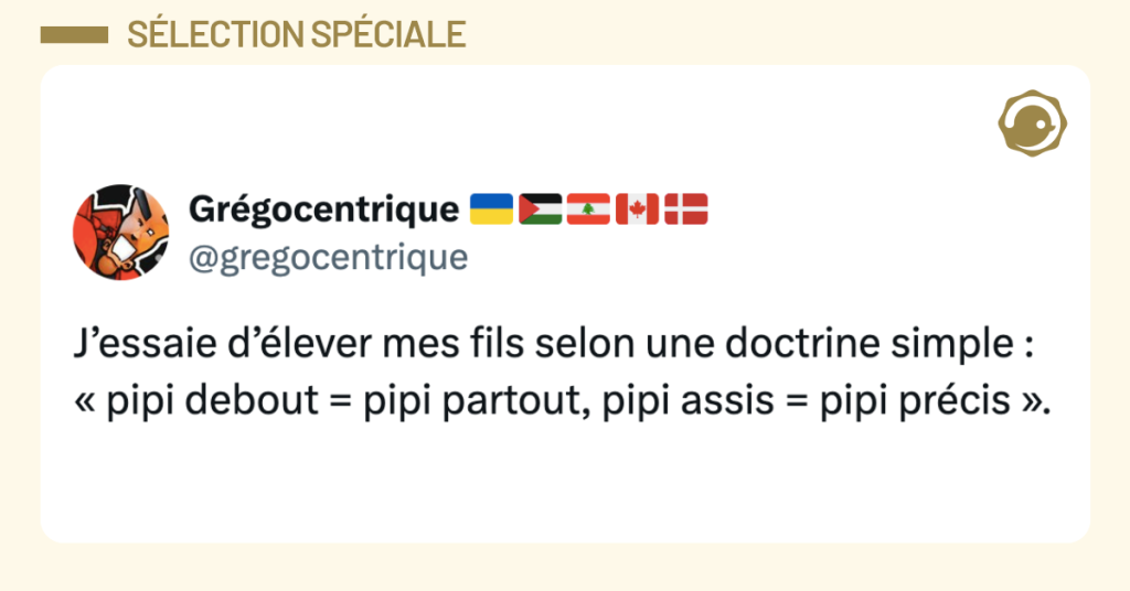 Post vignette de @gregocentrique disant "J&rsquo;essaie d&rsquo;&eacute;lever mes fils selon une doctrine simple : &laquo; pipi debout = pipi partout, pipi assis = pipi pr&eacute;cis &raquo;."