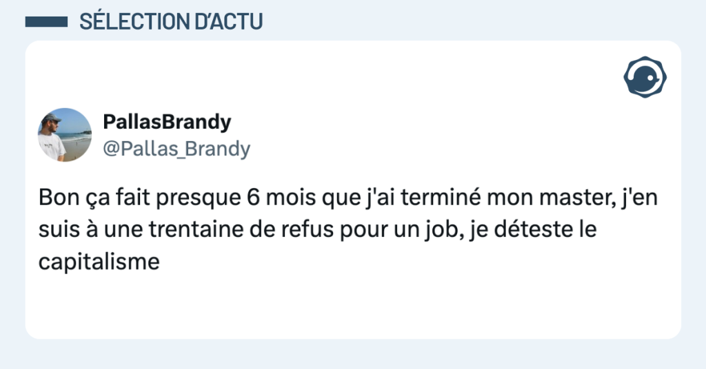 Post vignette de @Pallas_Brandy disant "Bon &ccedil;a fait presque 6 mois que j'ai termin&eacute; mon master, j'en suis &agrave; une trentaine de refus pour un job, je d&eacute;teste le capitalisme"