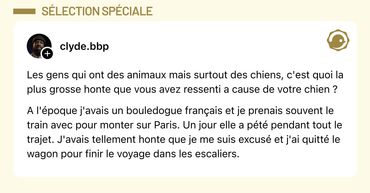 Post de @clyde.bbp : "Les gens qui ont des animaux mais surtout des chiens, c'est quoi la plus grosse honte que vous avez ressenti a cause de votre chien ? A l'époque j'avais un bouledogue français et je prenais souvent le train avec pour monter sur Paris. Un jour elle a pété pendant tout le trajet. J'avais tellement honte que je me suis excusé et j'ai quitté le wagon pour finir le voyage dans les escaliers."