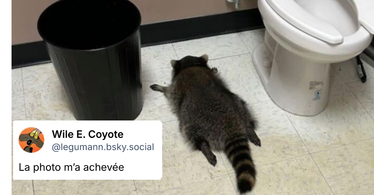 Post de @legumann.bsky.social disant "La photo m’a achevée"