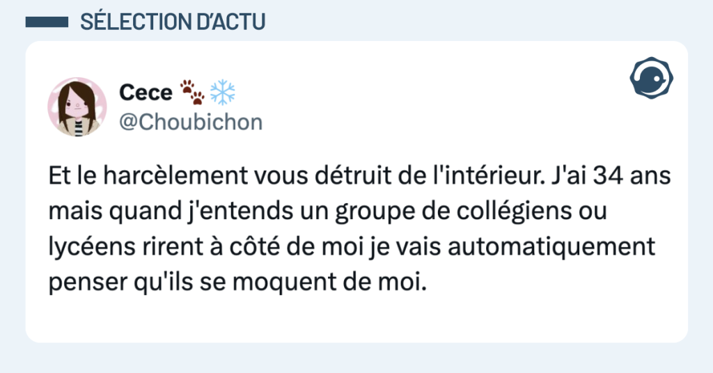 Post vignette de @Choubichon disant "Et le harcèlement vous détruit de l'intérieur. J'ai 34 ans mais quand j'entends un groupe de collégiens ou lycéens rirent à côté de moi je vais automatiquement penser qu'ils se moquent de moi."