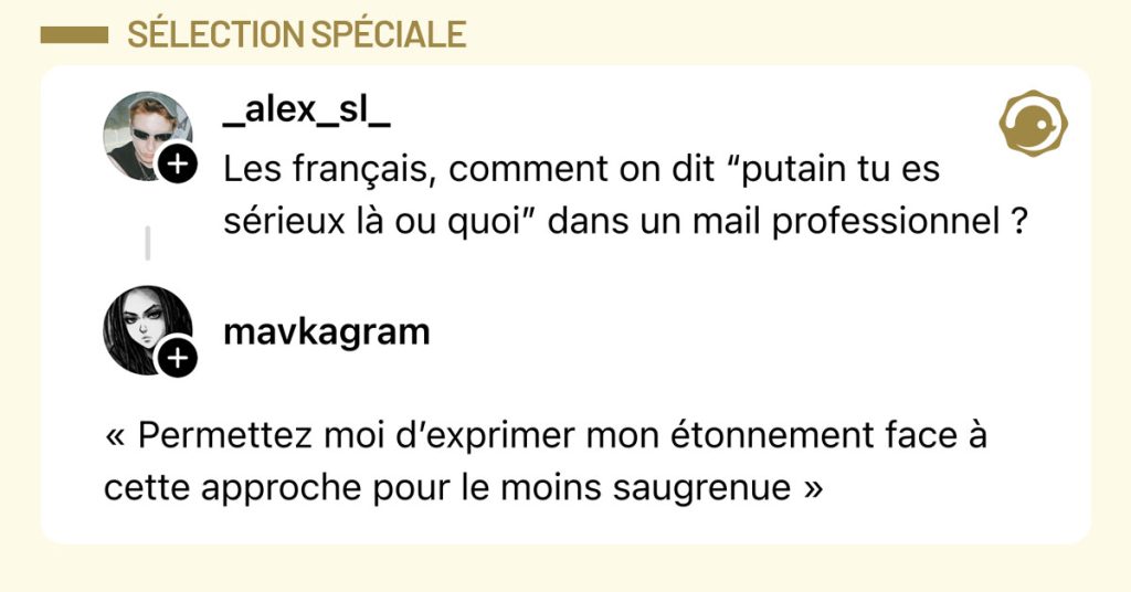 @_alex_sl_ dit "Les fran&ccedil;ais, comment on dit &ldquo;putain tu es s&eacute;rieux l&agrave; ou quoi&rdquo; dans un mail professionnel ?" et @mavkagram r&eacute;pond "&laquo; Permettez moi d&rsquo;exprimer mon &eacute;tonnement face &agrave; cette approche pour le moins saugrenue &raquo;"