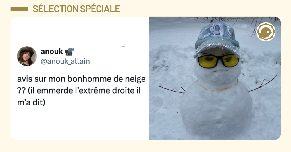 Post vignette de @anouk_allain disant "avis sur mon bonhomme de neige ?? (il emmerde l&rsquo;extr&ecirc;me droite il m&rsquo;a dit)"