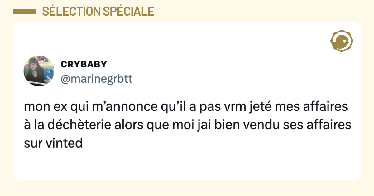 Post vignette de @marinegrbtt disant "mon ex qui m&rsquo;annonce qu&rsquo;il a pas vrm jet&eacute; mes affaires &agrave; la d&eacute;ch&egrave;terie alors que moi jai bien vendu ses affaires sur vinted"