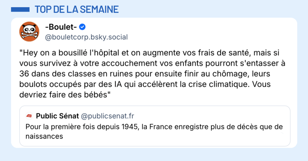 Post vignette de @bouletcorp disant "Hey on a bousill&eacute; l'h&ocirc;pital et on augmente vos frais de sant&eacute;, mais si vous survivez &agrave; votre accouchement vos enfants pourront s'entasser &agrave; 36 dans des classes en ruines pour ensuite finir au ch&ocirc;mage, leurs boulots occup&eacute;s par des IA qui acc&eacute;l&egrave;rent la crise climatique. Vous devriez faire des b&eacute;b&eacute;s"