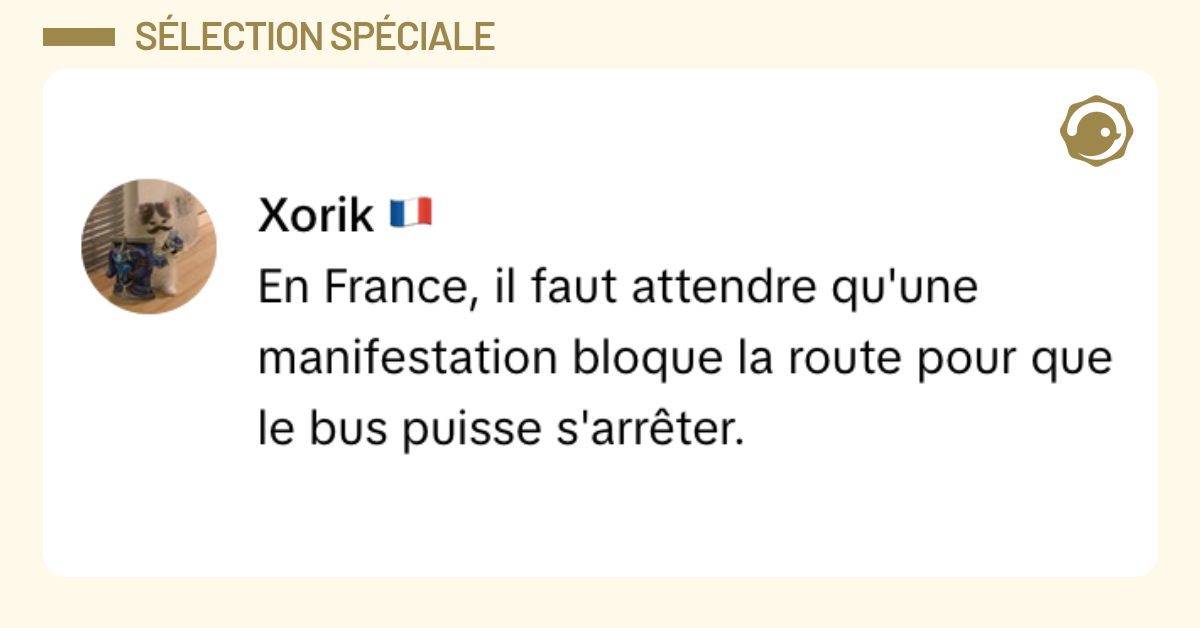 Post vignette de xorik disant "En France, il faut attendre qu'une manifestation bloque la route pour que le bus puisse s'arrêter."