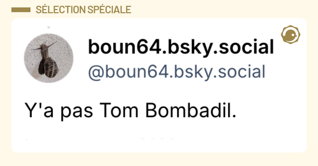 Post vignette de @boun64 disant "Y'a pas Tom Bombadil."