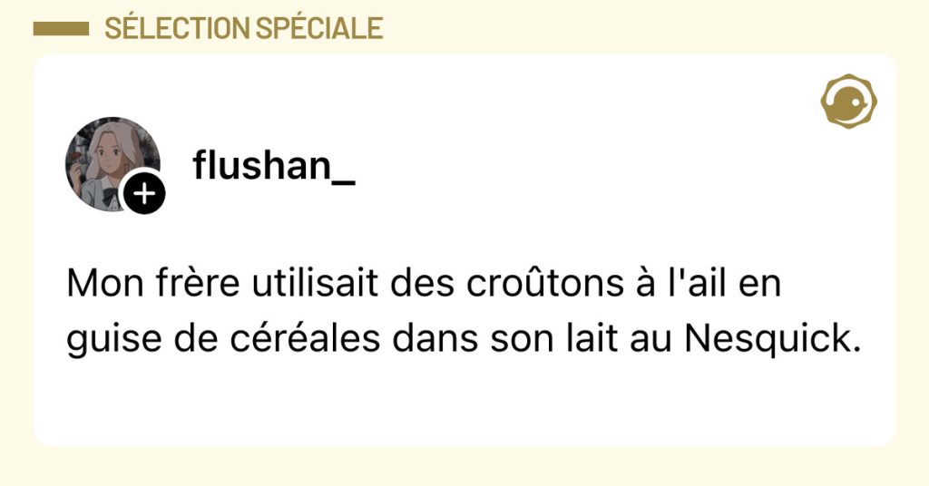 Post de @flushan_ : "Mon frère utilisait des croûtons à l'ail en guise de céréales dans son lait au Nesquick."