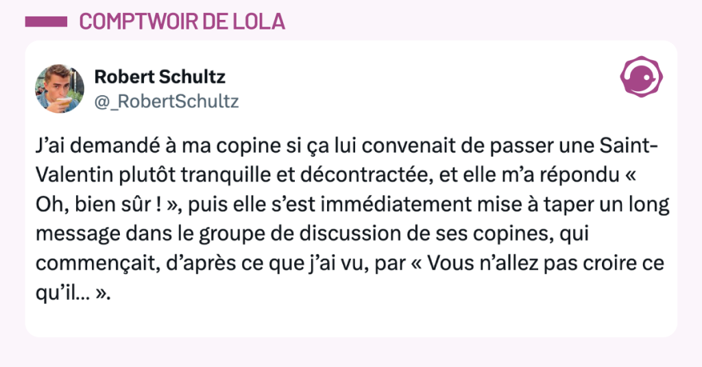 Post vignette de @_RobertSchultz disant "J&rsquo;ai demand&eacute; &agrave; ma copine si &ccedil;a lui convenait de passer une Saint-Valentin plut&ocirc;t tranquille et d&eacute;contract&eacute;e, et elle m&rsquo;a r&eacute;pondu &laquo; Oh, bien s&ucirc;r ! &raquo;, puis elle s&rsquo;est imm&eacute;diatement mise &agrave; taper un long message dans le groupe de discussion de ses copines, qui commen&ccedil;ait, d&rsquo;apr&egrave;s ce que j&rsquo;ai vu, par &laquo; Vous n&rsquo;allez pas croire ce qu&rsquo;il&hellip; &raquo;."