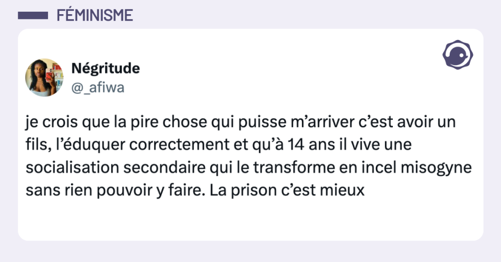 Post vignette de @_afiwa disant "je crois que la pire chose qui puisse m&rsquo;arriver c&rsquo;est avoir un fils, l&rsquo;&eacute;duquer correctement et qu&rsquo;&agrave; 14 ans il vive une socialisation secondaire qui le transforme en incel misogyne sans rien pouvoir y faire. La prison c&rsquo;est mieux"
