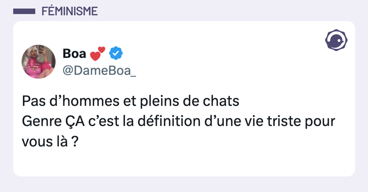 Post vignette de @DameBoa_ disant "Pas d&rsquo;hommes et pleins de chats Genre &Ccedil;A c&rsquo;est la d&eacute;finition d&rsquo;une vie triste pour vous l&agrave; ?"