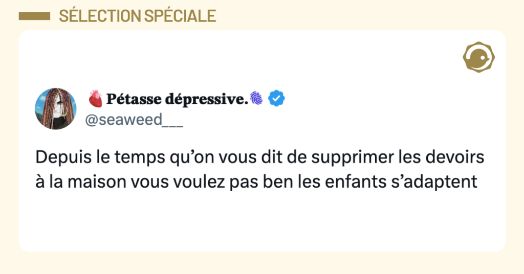 Post vignette de @seaweed___ disant "Depuis le temps qu&rsquo;on vous dit de supprimer les devoirs &agrave; la maison vous voulez pas ben les enfants s&rsquo;adaptent"