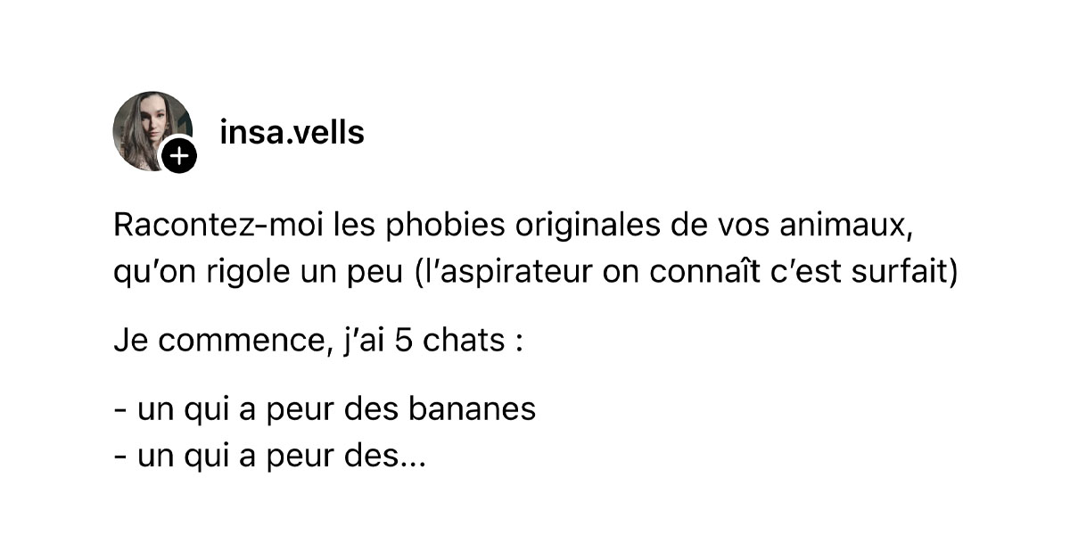 Post de @insa.vells : "Racontez-moi les phobies originales de vos animaux, qu&rsquo;on rigole un peu (l&rsquo;aspirateur on conna&icirc;t c&rsquo;est surfait) Je commence, j&rsquo;ai 5 chats : - un qui a peur des bananes - un qui a peur des..."