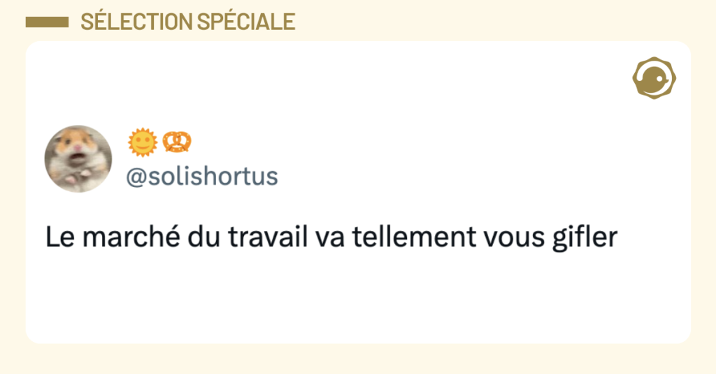 Post vignette de @solishortus disant "Le march&eacute; du travail va tellement vous gifler"