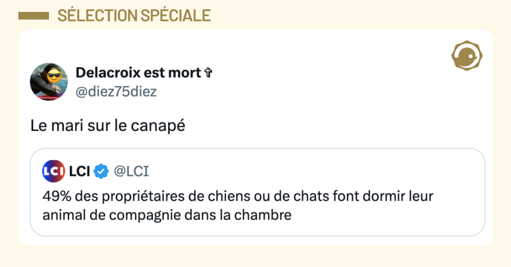 Post vignette de @LCI disant "49% des propri&eacute;taires de chiens ou de chats font dormir leur animal de compagnie dans la chambre". Post de @diez75diez r&eacute;pondant "Le mari sur le canap&eacute;"