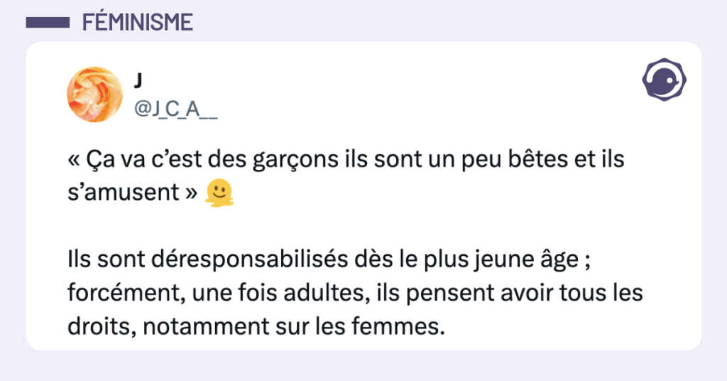Post vignette de @J_C_A__ disant "&laquo; &Ccedil;a va c&rsquo;est des gar&ccedil;ons ils sont un peu b&ecirc;tes et ils s&rsquo;amusent &raquo; 🫠 Ils sont d&eacute;responsabilis&eacute;s d&egrave;s le plus jeune &acirc;ge ; forc&eacute;ment, une fois adultes, ils pensent avoir tous les droits, notamment sur les femmes."