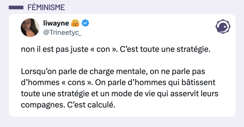 Post vignette de @Trineetyc_ disant "non il est pas juste « con ». C’est toute une stratégie. Lorsqu’on parle de charge mentale, on ne parle pas d’hommes « cons ». On parle d’hommes qui bâtissent toute une stratégie et un mode de vie qui asservit leurs compagnes. C’est calculé."