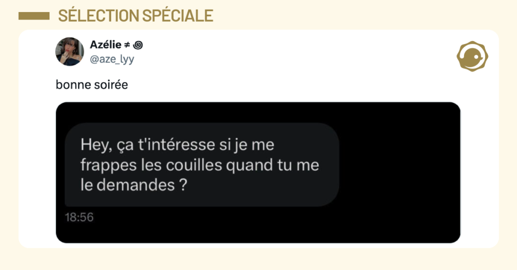Post vignette de @aze_lyy disant "bonne soir&eacute;e" avec un message priv&eacute; disant "Hey, &ccedil;a t'int&eacute;resse si je me frappe les couilles quand tu me le demandes ?"