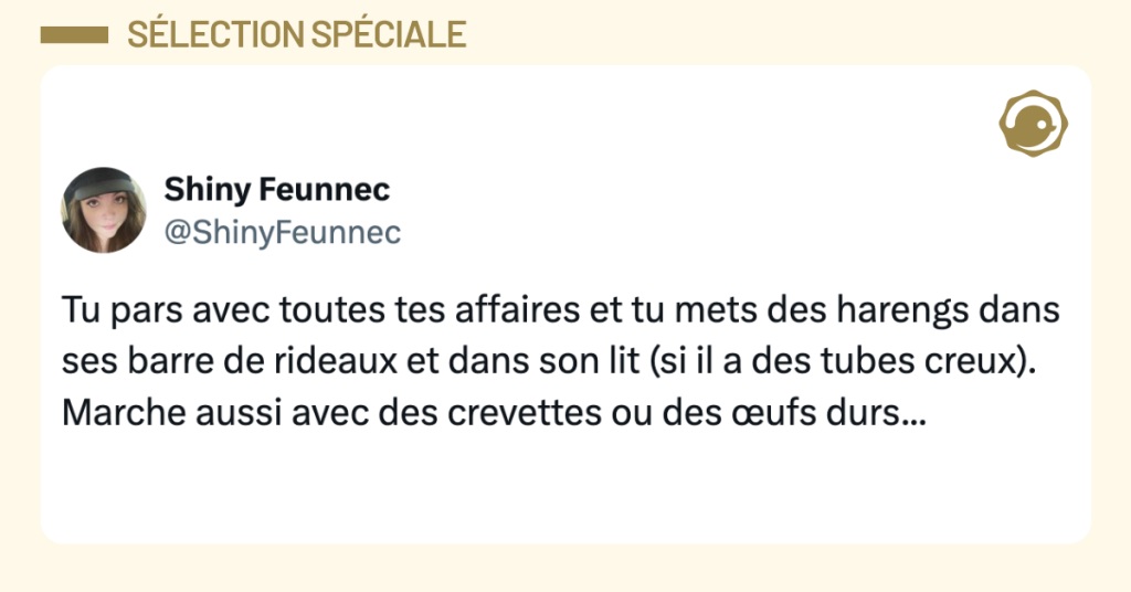 Post vignette de @ShinyFeunnec disant "Tu pars avec toutes tes affaires et tu mets des harengs dans ses barre de rideaux et dans son lit (si il a des tubes creux). Marche aussi avec des crevettes ou des &oelig;ufs durs..."