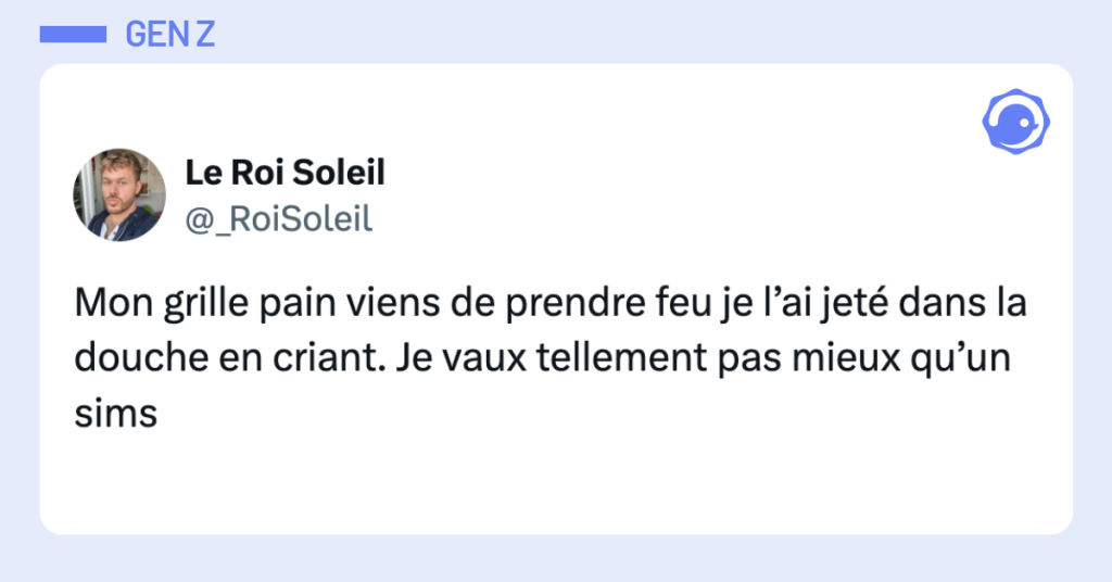 Post vignette de @_RoiSoleil disant "Mon grille pain viens de prendre feu je l&rsquo;ai jet&eacute; dans la douche en criant. Je vaux tellement pas mieux qu&rsquo;un sims"