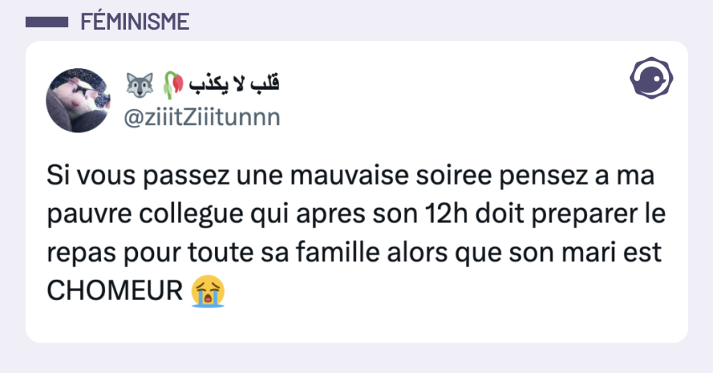 Post vignette de @ziiitZiiitunnn disant "Si vous passez une mauvaise soiree pensez a ma pauvre collegue qui apres son 12h doit preparer le repas pour toute sa famille alors que son mari est CHOMEUR 😭"