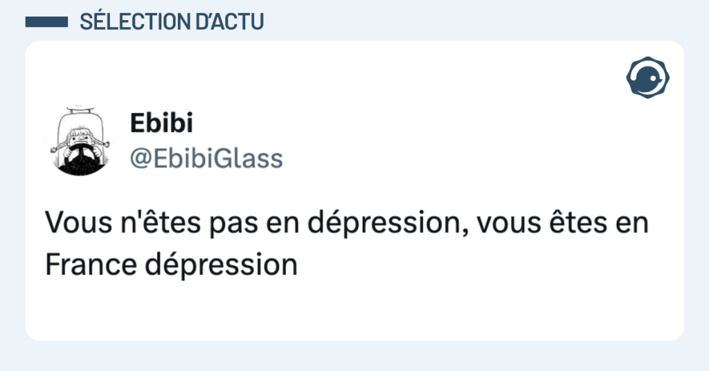 Post vignette de @EbibiGlass disant "Vous n'&ecirc;tes pas en d&eacute;pression, vous &ecirc;tes en France d&eacute;pression"