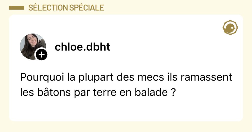 Post de @chloe.dbht : "Pourquoi la plupart des mecs ils ramassent les b&acirc;tons par terre en balade ?"