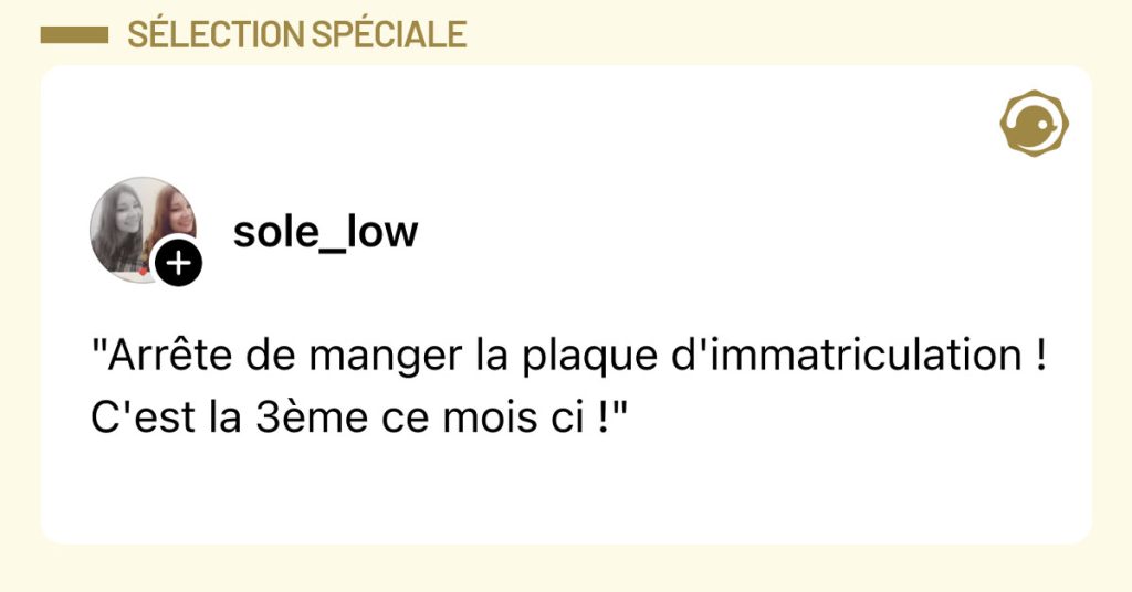 Post de @sole_low : ""Arr&ecirc;te de manger la plaque d'immatriculation ! C'est la 3&egrave;me ce mois ci !""