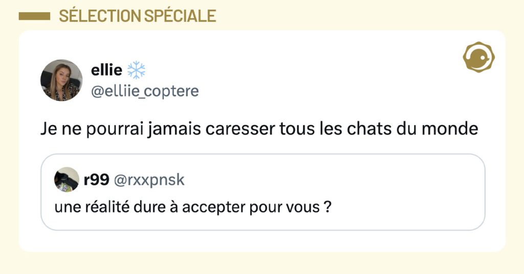 @rxxpnsk tweete "une r&eacute;alit&eacute; dure &agrave; accepter pour vous ?" et @elliie_coptere r&eacute;pond "Je ne pourrai jamais caresser tous les chats du monde".