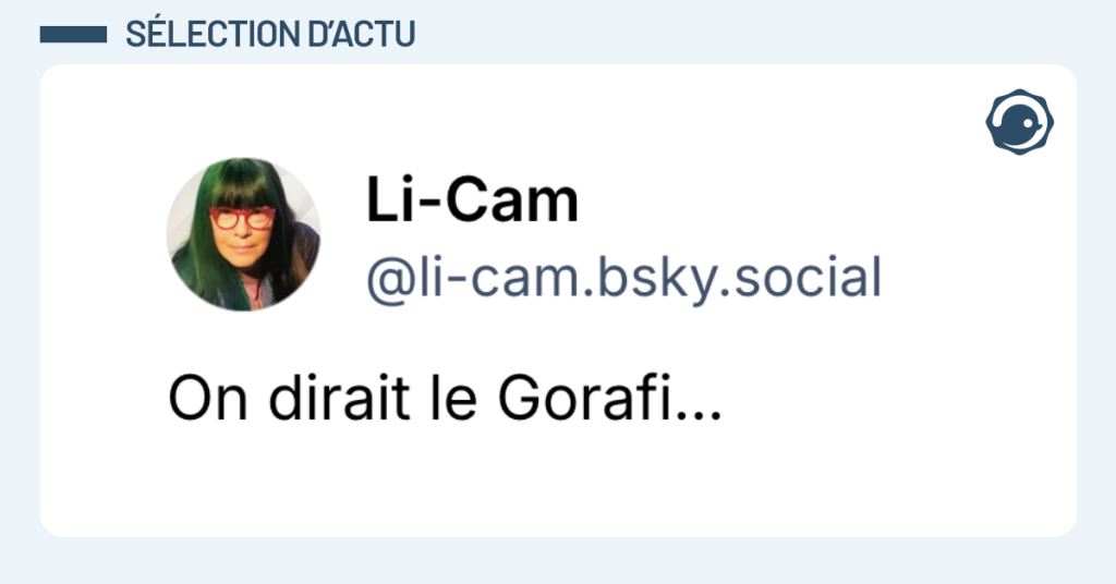 Post vignette de @li-cam disant "On dirait le Gorafi..."