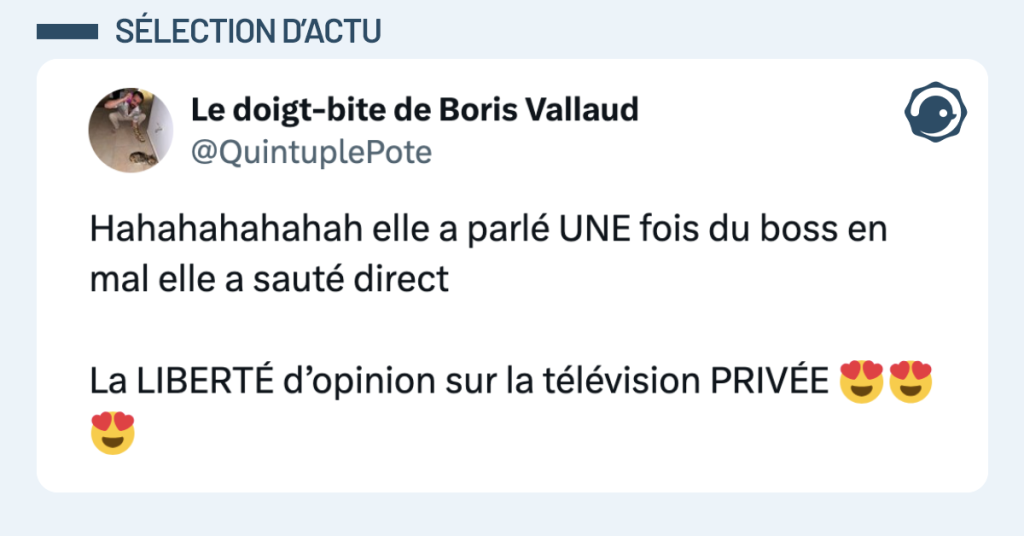 Post vignette de @QuintuplePote disant "Hahahahahahah elle a parlé UNE fois du boss en mal elle a sauté direct La LIBERTÉ d’opinion sur la télévision PRIVÉE 😍😍😍"