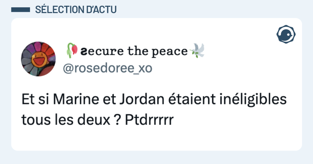 Post vignette de @rosedoree_xo disant "Et si Marine et Jordan &eacute;taient in&eacute;ligibles tous les deux ? Ptdrrrrr"