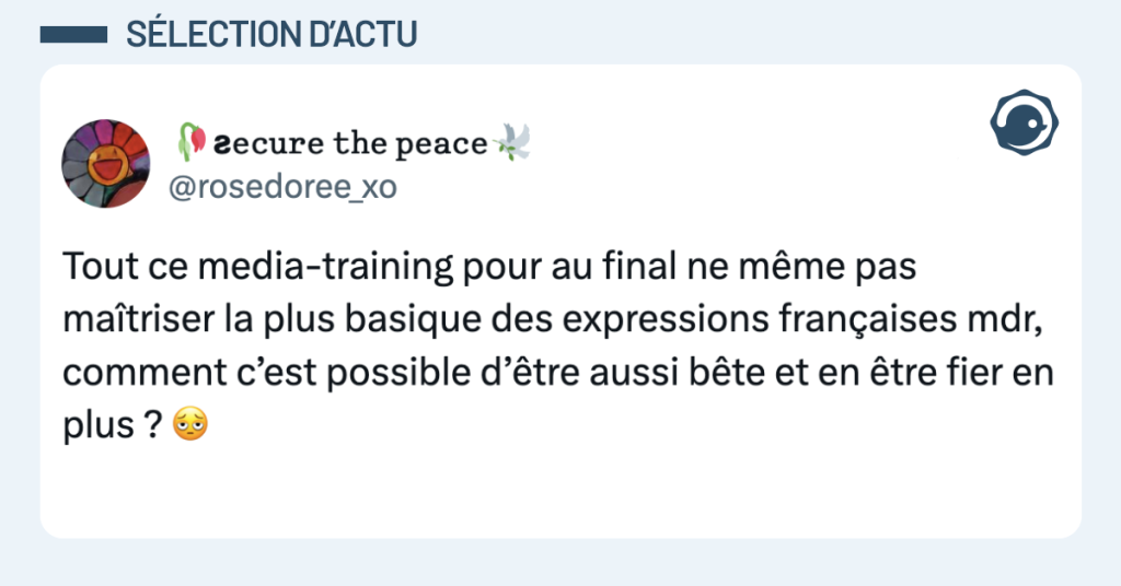 Post vignette de @rosedoree_xo disant "Tout ce media-training pour au final ne même pas maîtriser la plus basique des expressions françaises mdr, comment c’est possible d’être aussi bête et en être fier en plus ? "