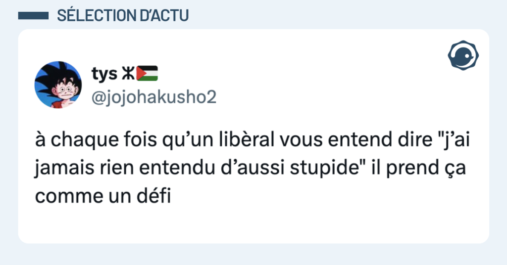 Post vignette de @jojohakusho2 disant "à chaque fois qu’un libèral vous entend dire "j’ai jamais rien entendu d’aussi stupide" il prend ça comme un défi"