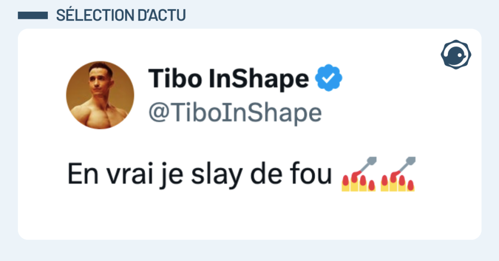 Post vignette de @TiboInShape disant "En vrai je slay de fou 💅💅"