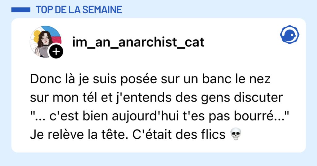Post de @im_an_anarchist_cat : "Donc l&agrave; je suis pos&eacute;e sur un banc le nez sur mon t&eacute;l et j'entends des gens discuter "... c'est bien aujourd'hui t'es pas bourr&eacute;..." Je rel&egrave;ve la t&ecirc;te. C'&eacute;tait des flics 💀"