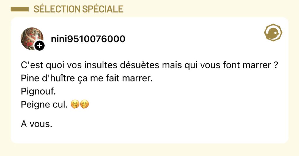 Post de @nini9510076000 : "C'est quoi vos insultes d&eacute;su&egrave;tes mais qui vous font marrer ? Pine d'hu&icirc;tre &ccedil;a me fait marrer. Pignouf. Peigne cul. 🤭🤭 A vous."