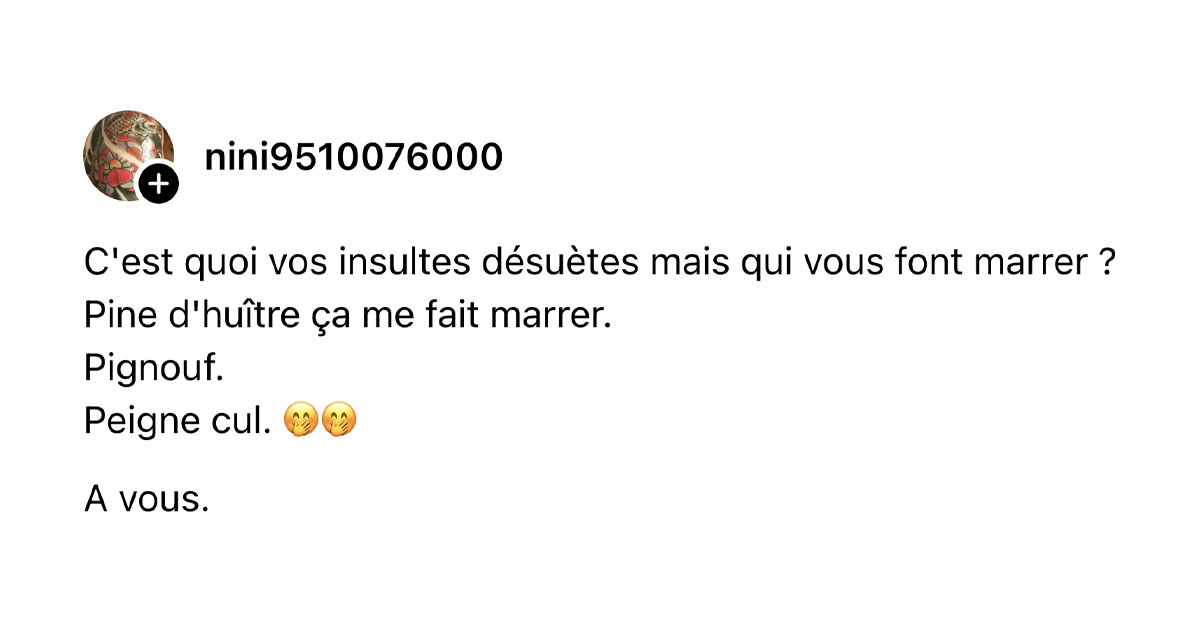 Post de @nini9510076000 : "C'est quoi vos insultes d&eacute;su&egrave;tes mais qui vous font marrer ? Pine d'hu&icirc;tre &ccedil;a me fait marrer. Pignouf. Peigne cul. 🤭🤭 A vous."