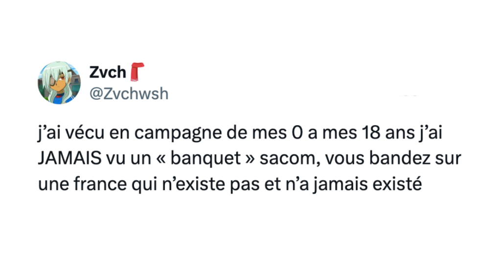 Post de @Zvchwsh disant "j&rsquo;ai v&eacute;cu en campagne de mes 0 a mes 18 ans j&rsquo;ai JAMAIS vu un &laquo; banquet &raquo; sacom, vous bandez sur une france qui n&rsquo;existe pas et n&rsquo;a jamais exist&eacute;'