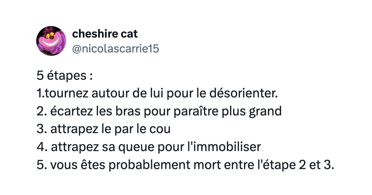 Post de @nicolascarrie15 disant "5 étapes : 1.tournez autour de lui pour le désorienter. 2. écartez les bras pour paraître plus grand 3. attrapez le par le cou 4. attrapez sa queue pour l'immobiliser 5. vous êtes probablement mort entre l'étape 2 et 3."
