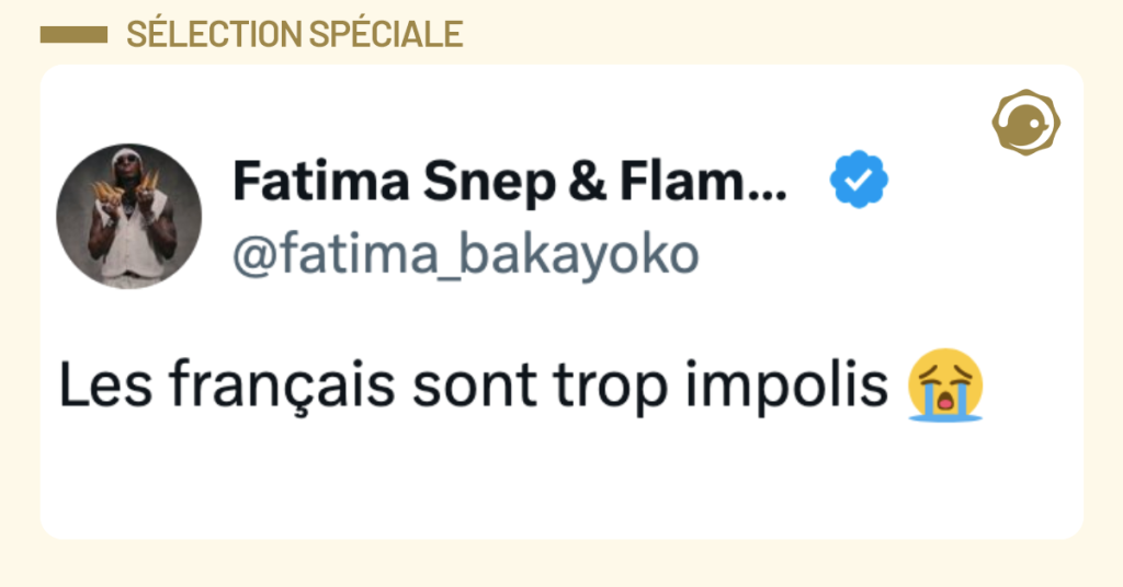 Post vignette de @fatima_bakayoko disant "Les fran&ccedil;ais sont trop impolis 😭"