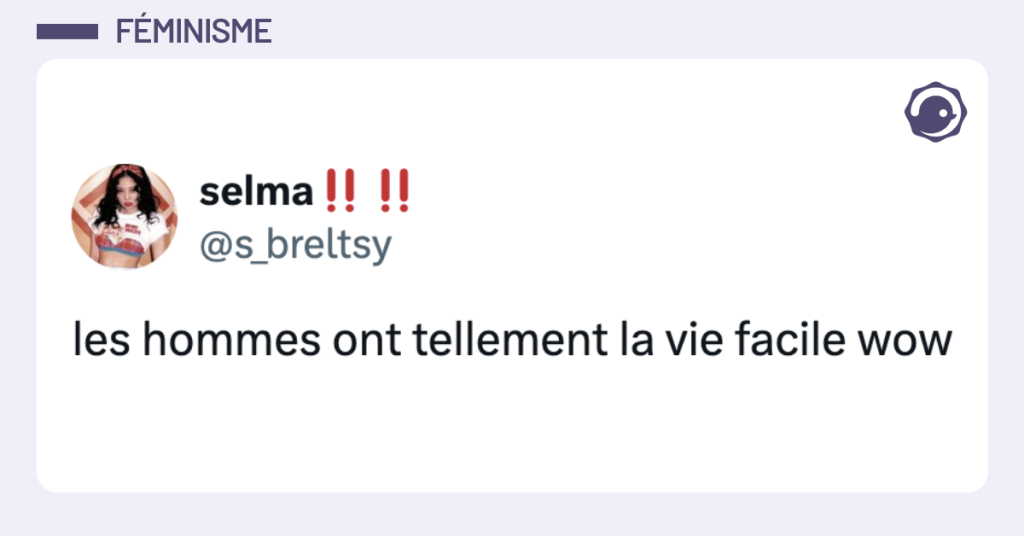 Post vignette de @s_breltsy disant "les hommes ont tellement la vie facile wow"