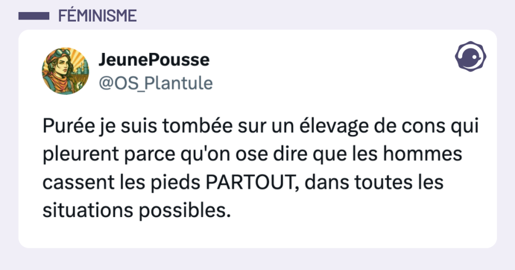 Post vignette de @OS_Plantule disant "Purée je suis tombée sur un élevage de cons qui pleurent parce qu'on ose dire que les hommes cassent les pieds PARTOUT, dans toutes les situations possibles."