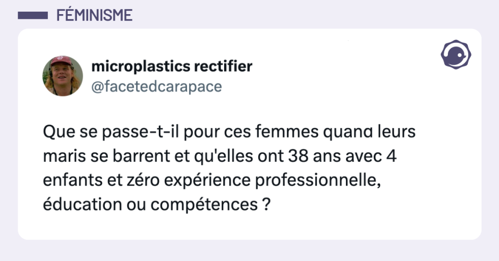 Post vignette de @facetedcarapace disant "Que se passe-t-il pour ces femmes quand leurs maris se barrent et qu'elles ont 38 ans avec 4 enfants et zéro expérience professionnelle, éducation ou compétences ?"