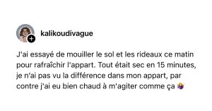Post de @kalikoudivague : "J'ai essay&eacute; de mouiller le sol et les rideaux ce matin pour rafra&icirc;chir l'appart. Tout &eacute;tait sec en 15 minutes, je n&rsquo;ai pas vu la diff&eacute;rence dans mon appart, par contre j'ai eu bien chaud &agrave; m'agiter comme &ccedil;a 🤷&zwj;♀️"