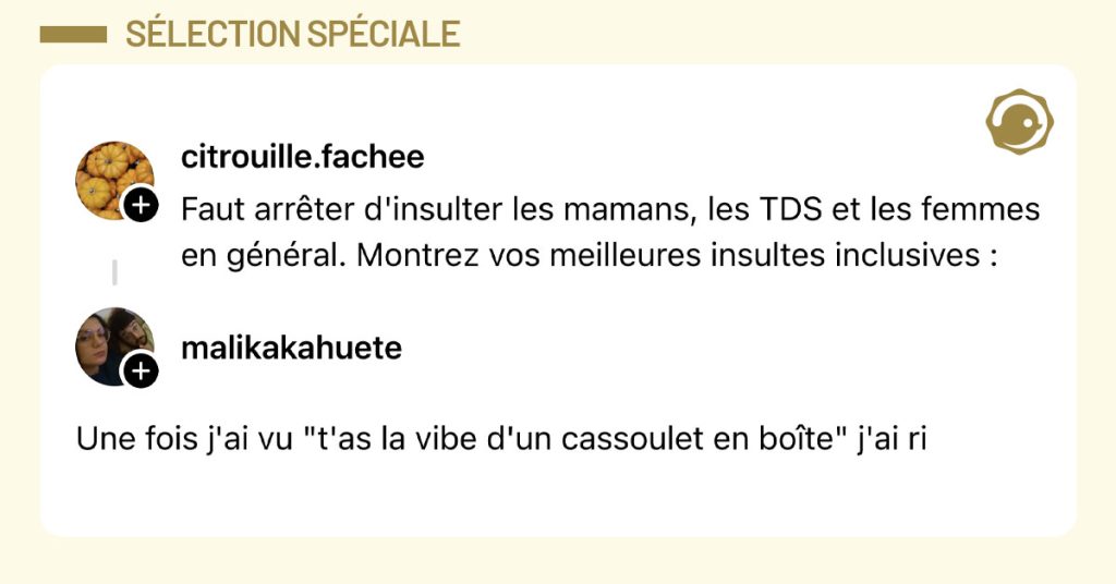 @citrouille.fachee dit "Faut arr&ecirc;ter d'insulter les mamans, les TDS et les femmes en g&eacute;n&eacute;ral. Montrez vos meilleures insultes inclusives :" et @malikakahuete r&eacute;pond "Une fois j'ai vu "t'as la vibe d'un cassoulet en bo&icirc;te" j'ai ri"